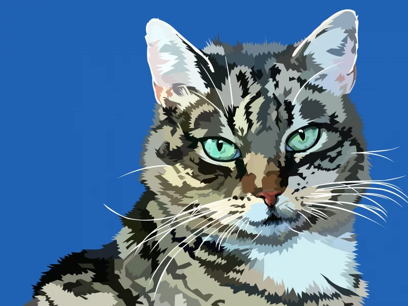 глаза, взгляд, котейка
