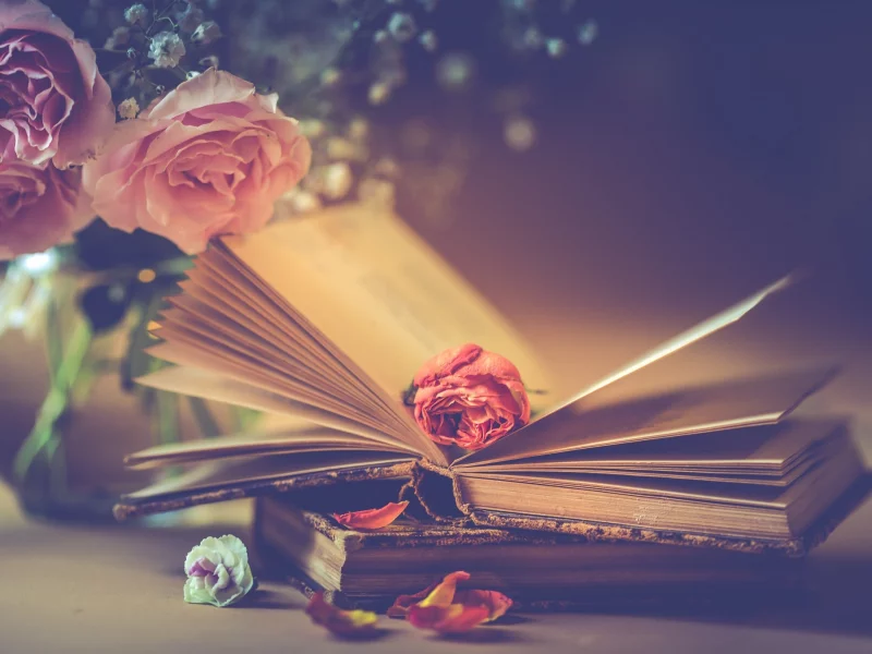 цветы, стиль, книги, розы, букет, лепестки, бутон