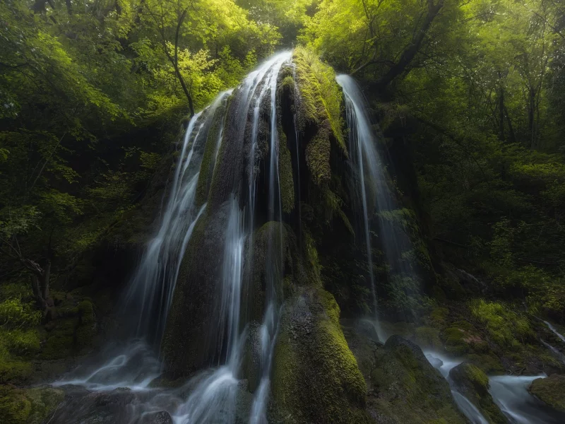 лес, свет, природа, река, водопад