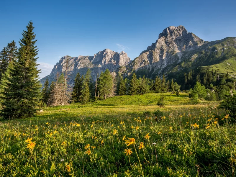 природа, красота