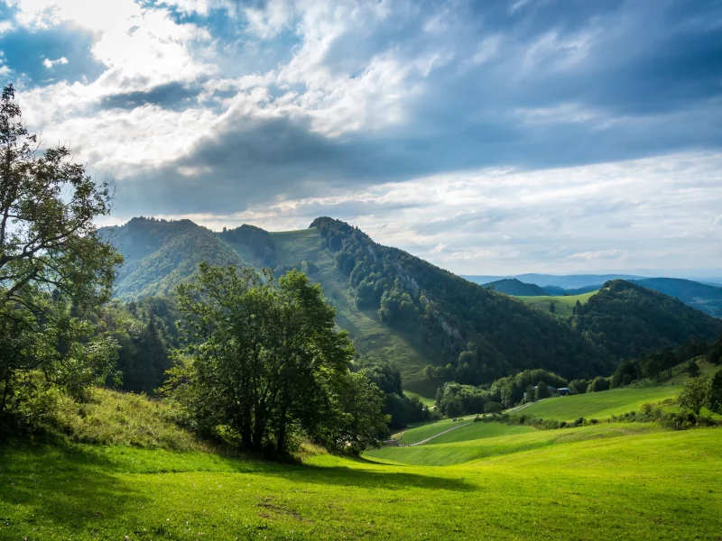 природа, красота