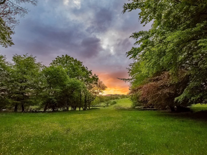 природа, красота