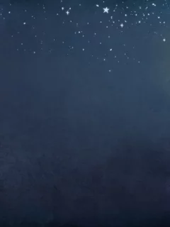 ночь, фонарь, кошка