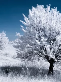 обработка, деревья