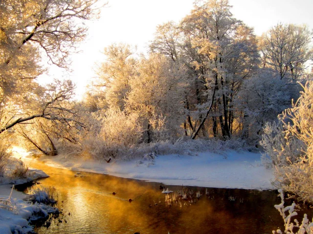 зима, речка, лес