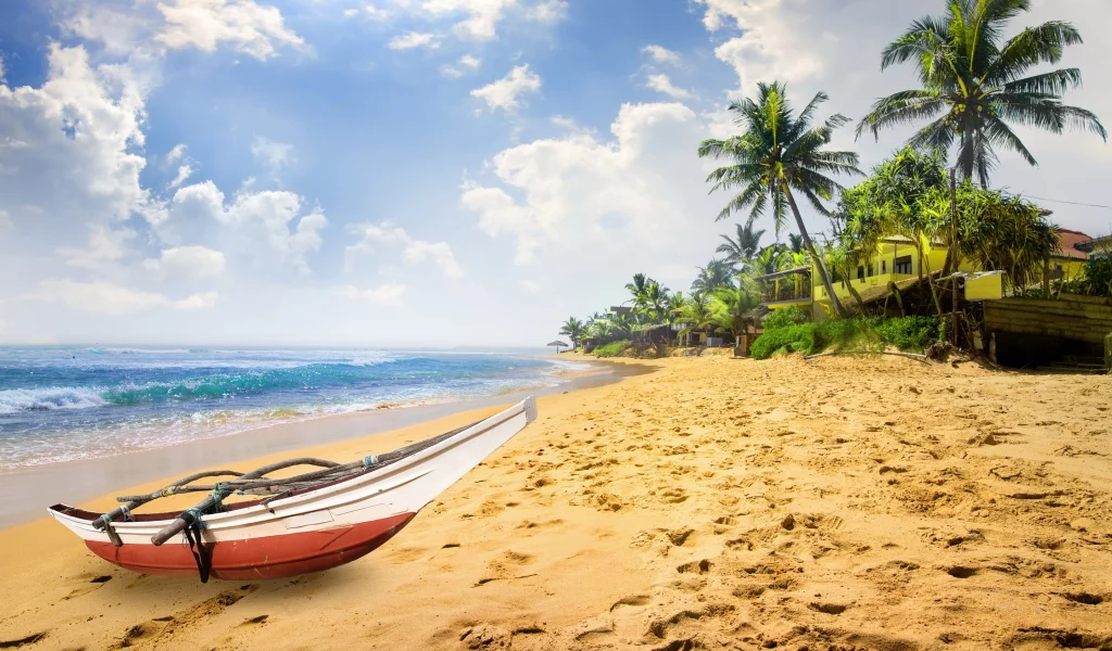 пальмы, paradise, берег, palms, пляж, sea, песок, море, sand, shore, beach, summer, tropical