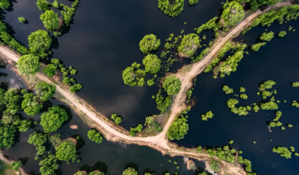 дорога, вода