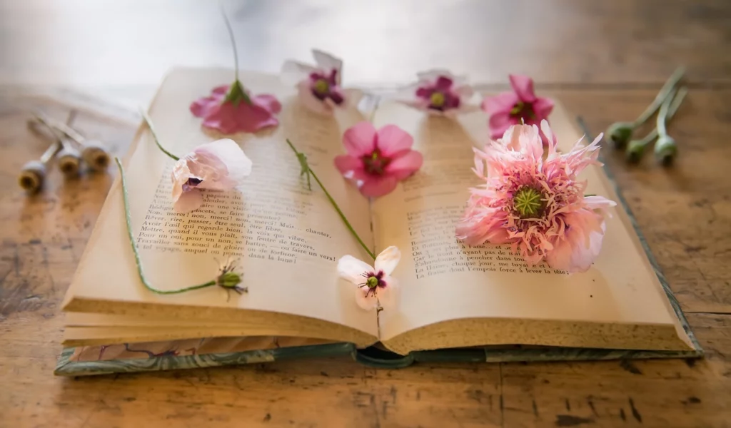 книга, фон, маки, цветы