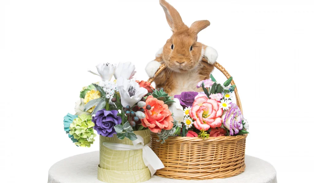 rabbit, happy, кролик, eggs, spring, flowers, цветы