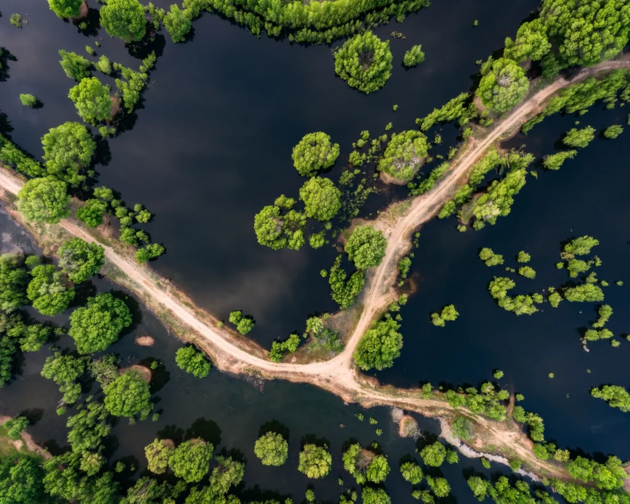 дорога, вода