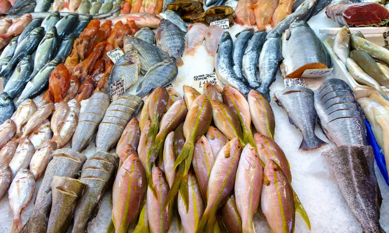 variety, fish, frozen meat