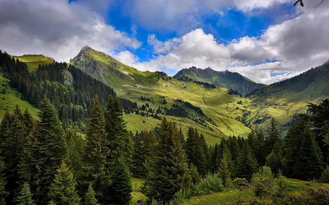 леса, долина, облака, деревья