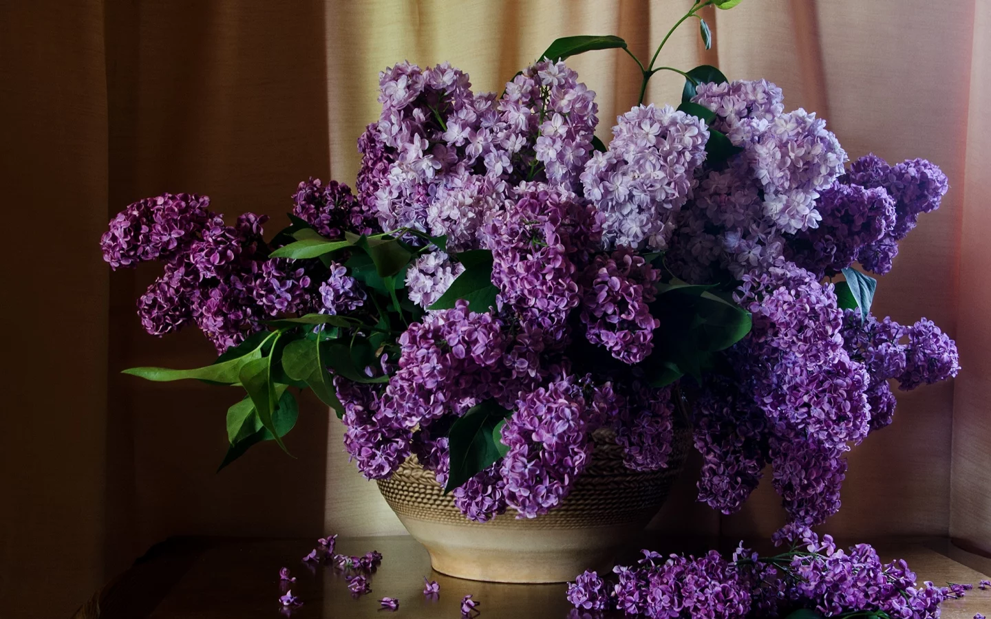 шторы, сирень, стол