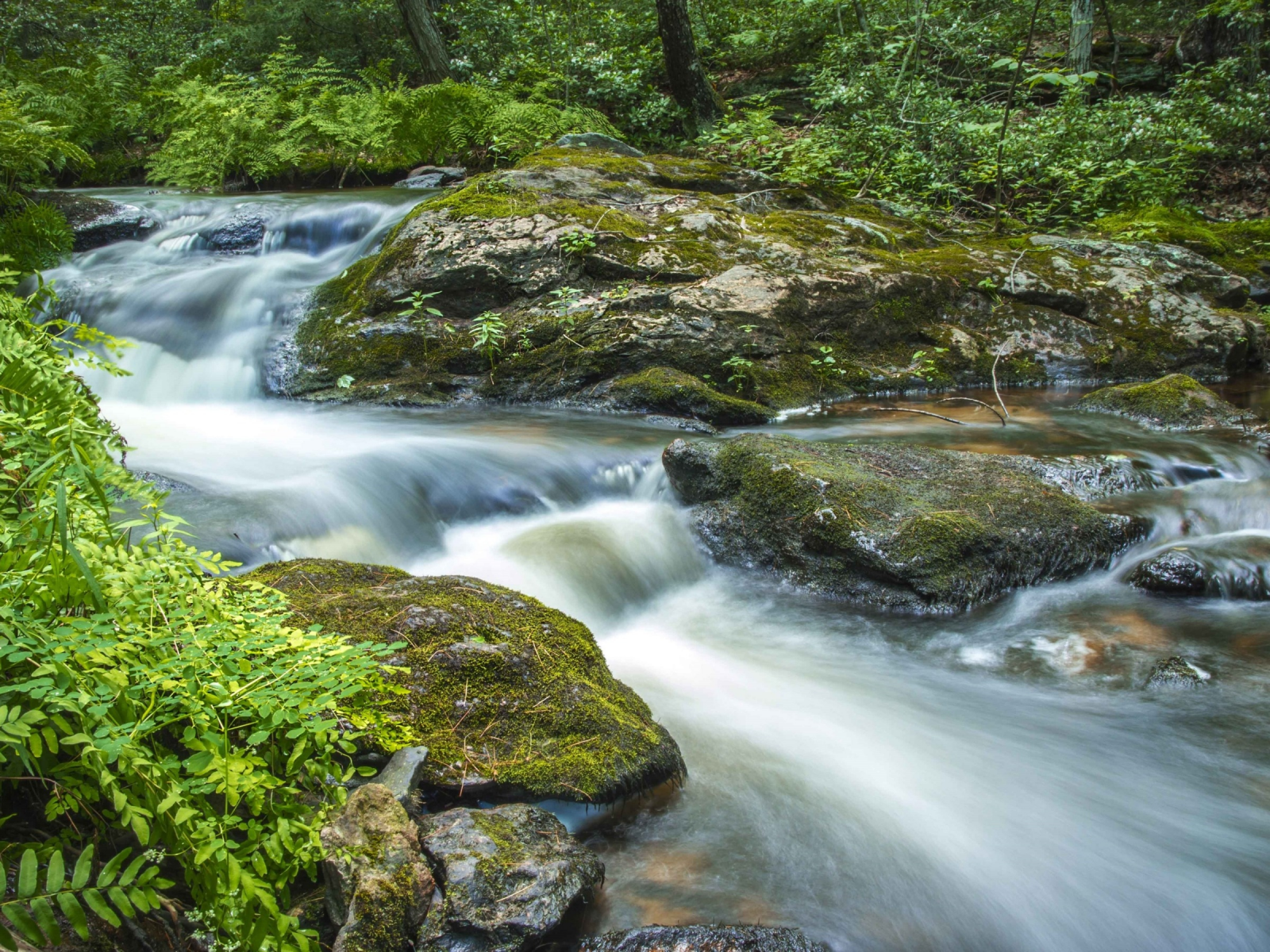 поток, камни, зелень, вода