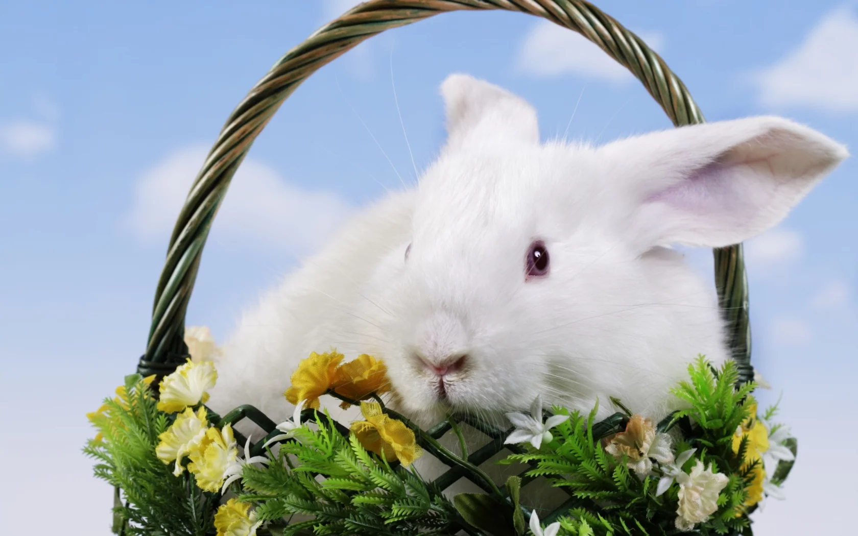пасха, easter, корзина, кролик, цветы