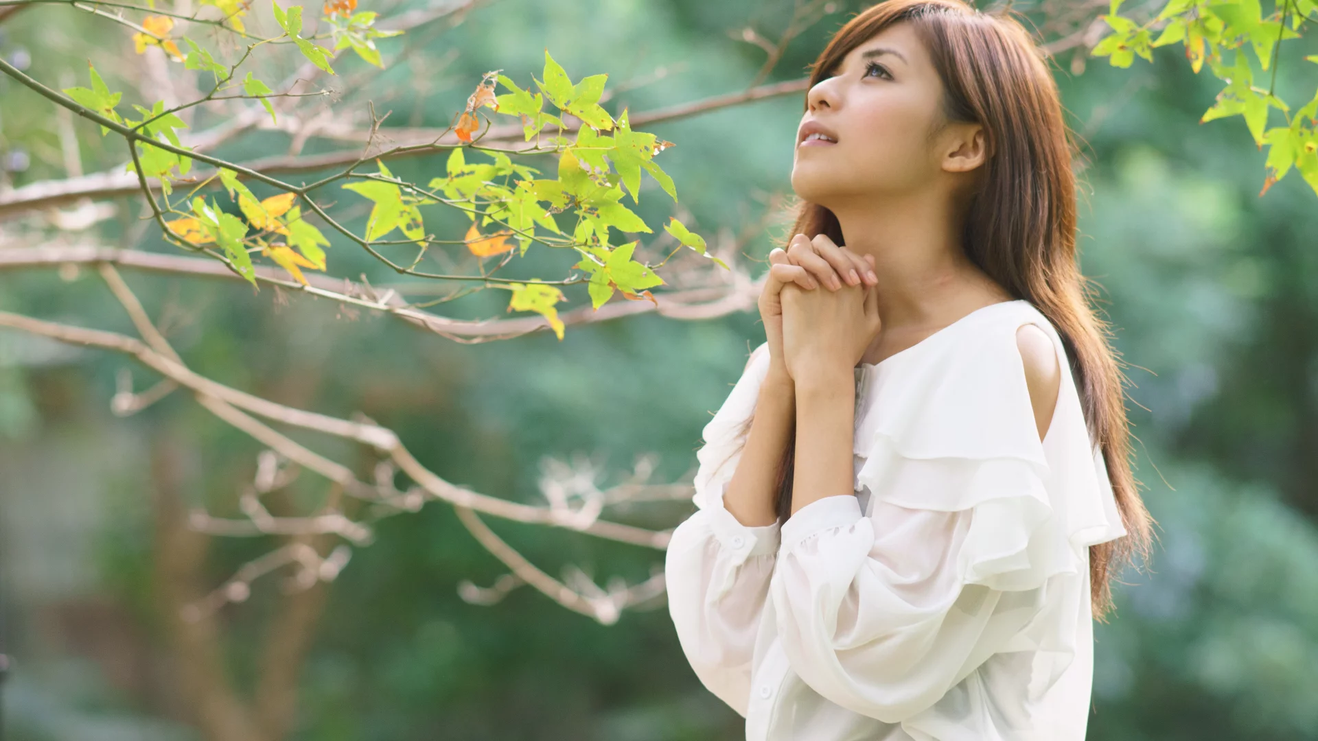 asian, beauty