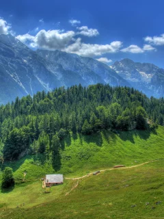 деревья, ермания, вид сверху, горы, небо, солнце