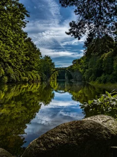 природа, красота