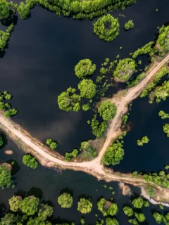 дорога, вода
