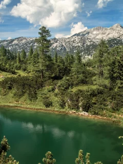 горы, альпы