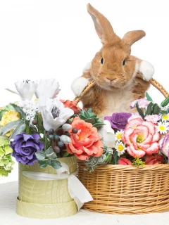 rabbit, happy, кролик, eggs, spring, flowers, цветы