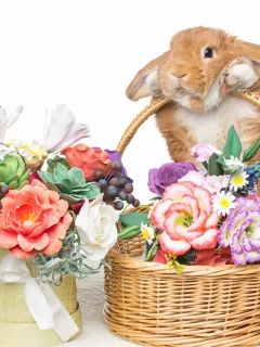 rabbit, happy, кролик, eggs, spring, flowers, цветы