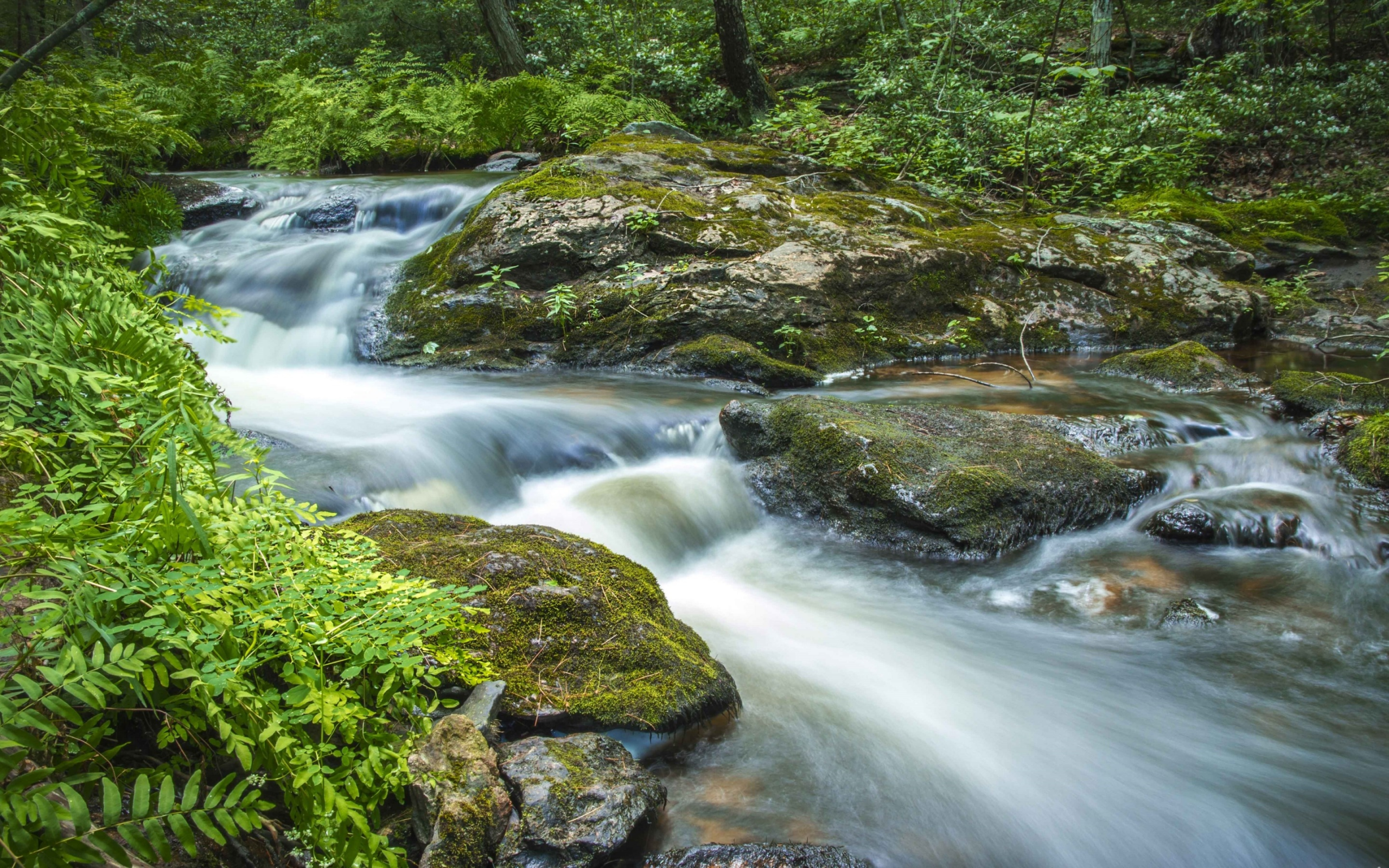 поток, камни, зелень, вода