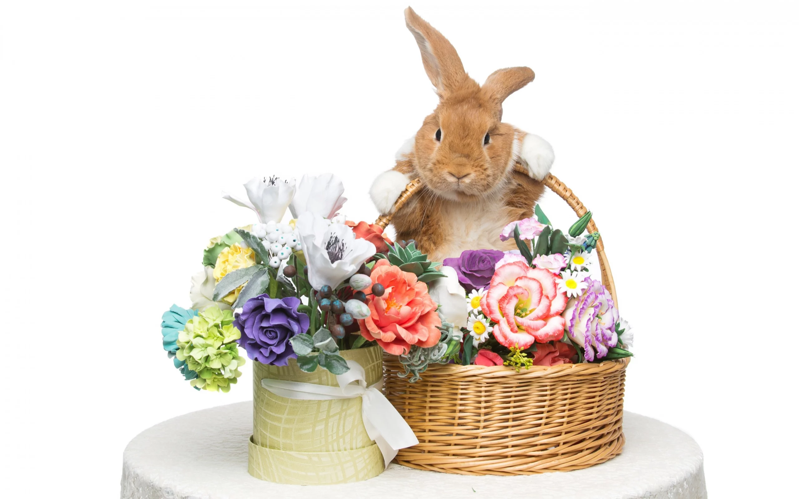 rabbit, happy, кролик, eggs, spring, flowers, цветы