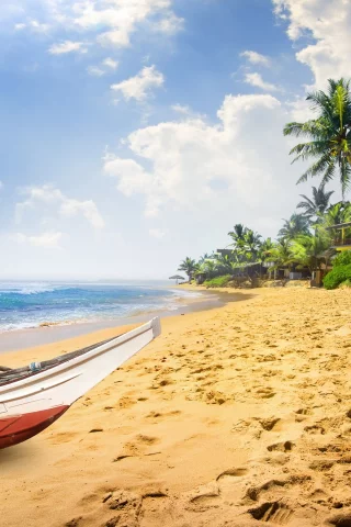 пальмы, paradise, берег, palms, пляж, sea, песок, море, sand, shore, beach, summer, tropical