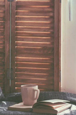 кот, книга, кровать, подушка, котёнок, окно, кружка, комната, кошка