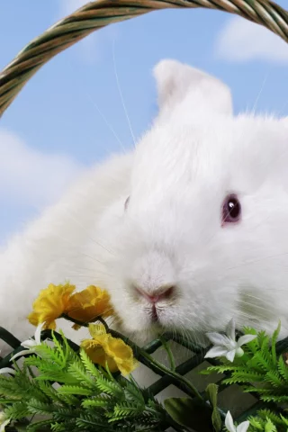 пасха, easter, корзина, кролик, цветы