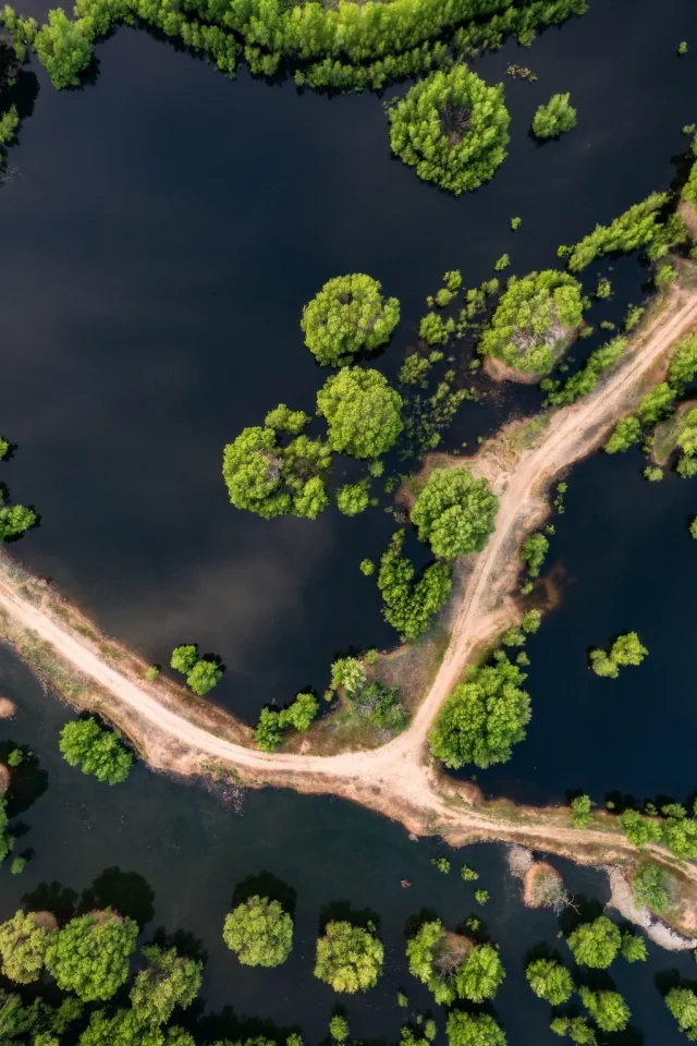 дорога, вода