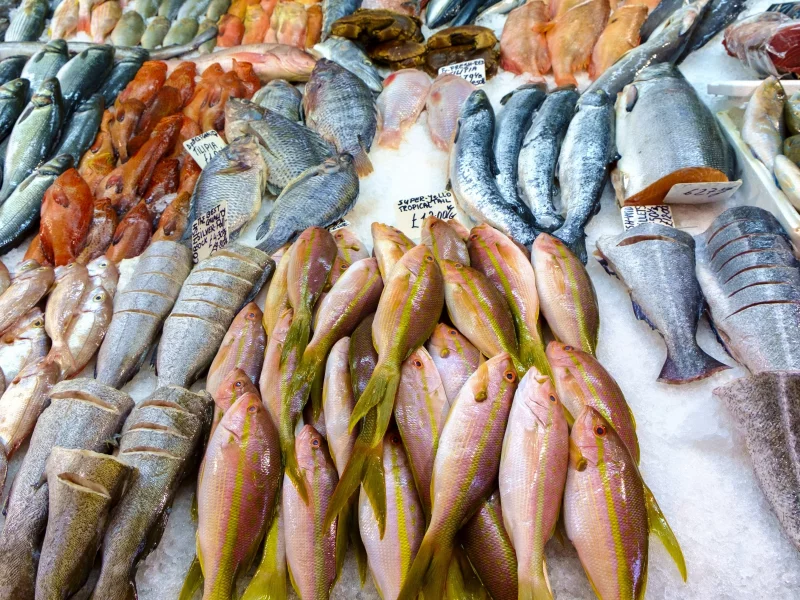 variety, fish, frozen meat