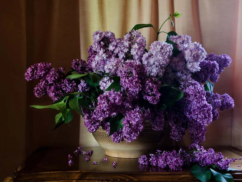 шторы, сирень, стол