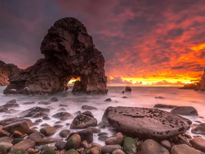 природа, красота