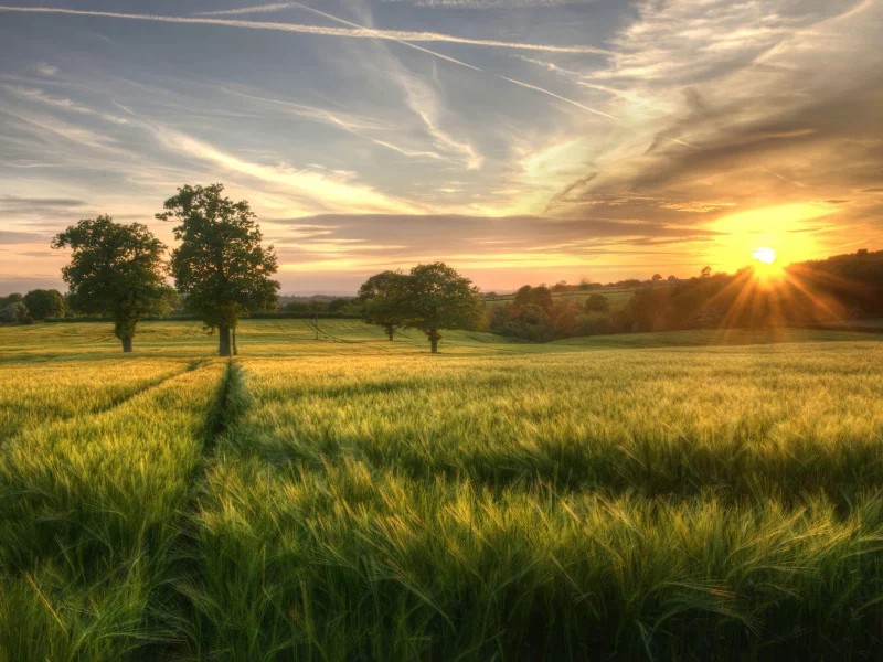 природа, красота