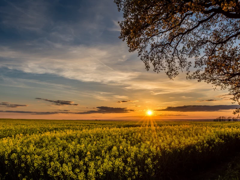 природа, красота