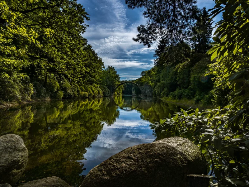 природа, красота