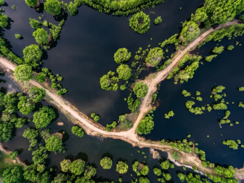 дорога, вода
