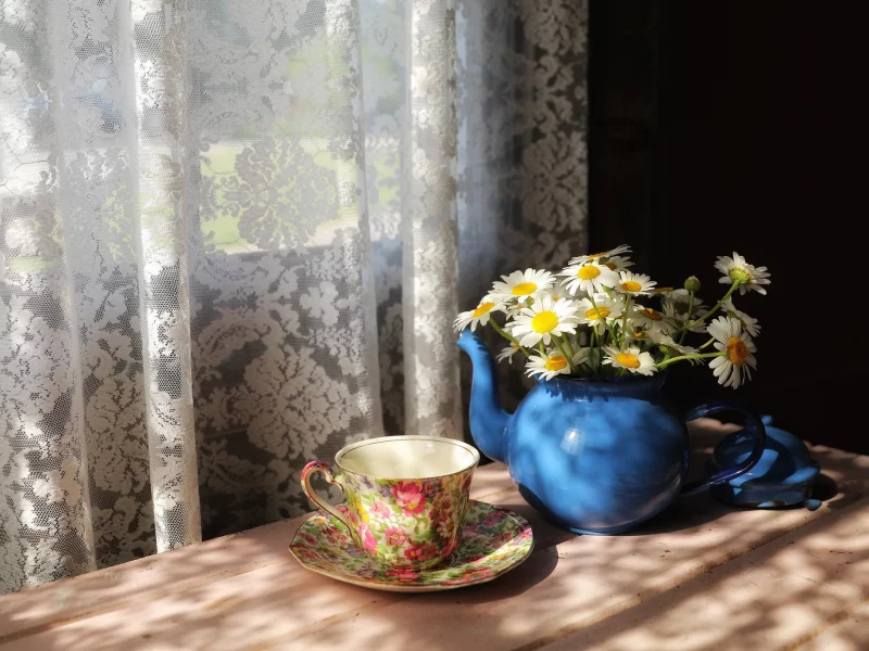 ромашки, дом, окно, чашка