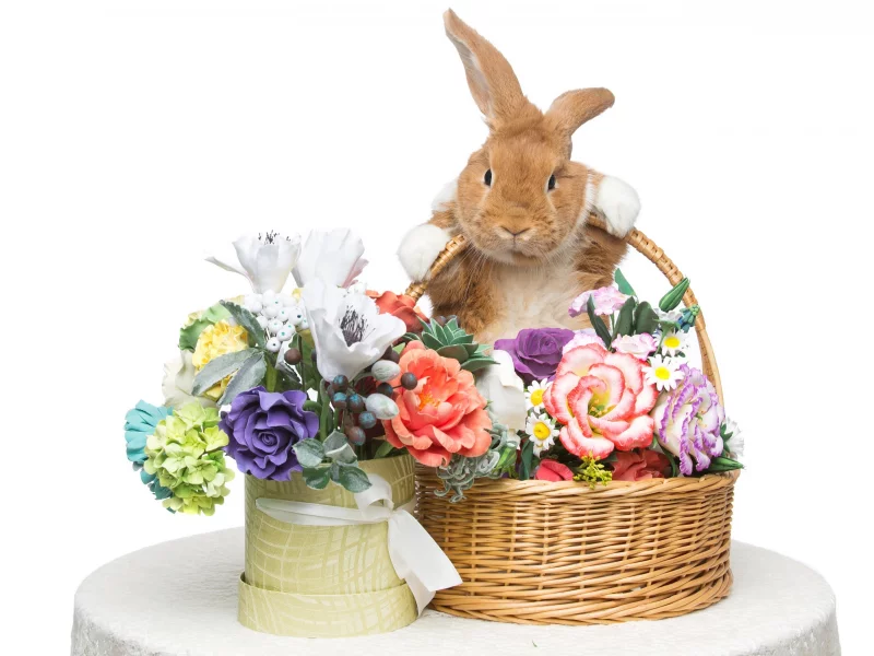 rabbit, happy, кролик, eggs, spring, flowers, цветы