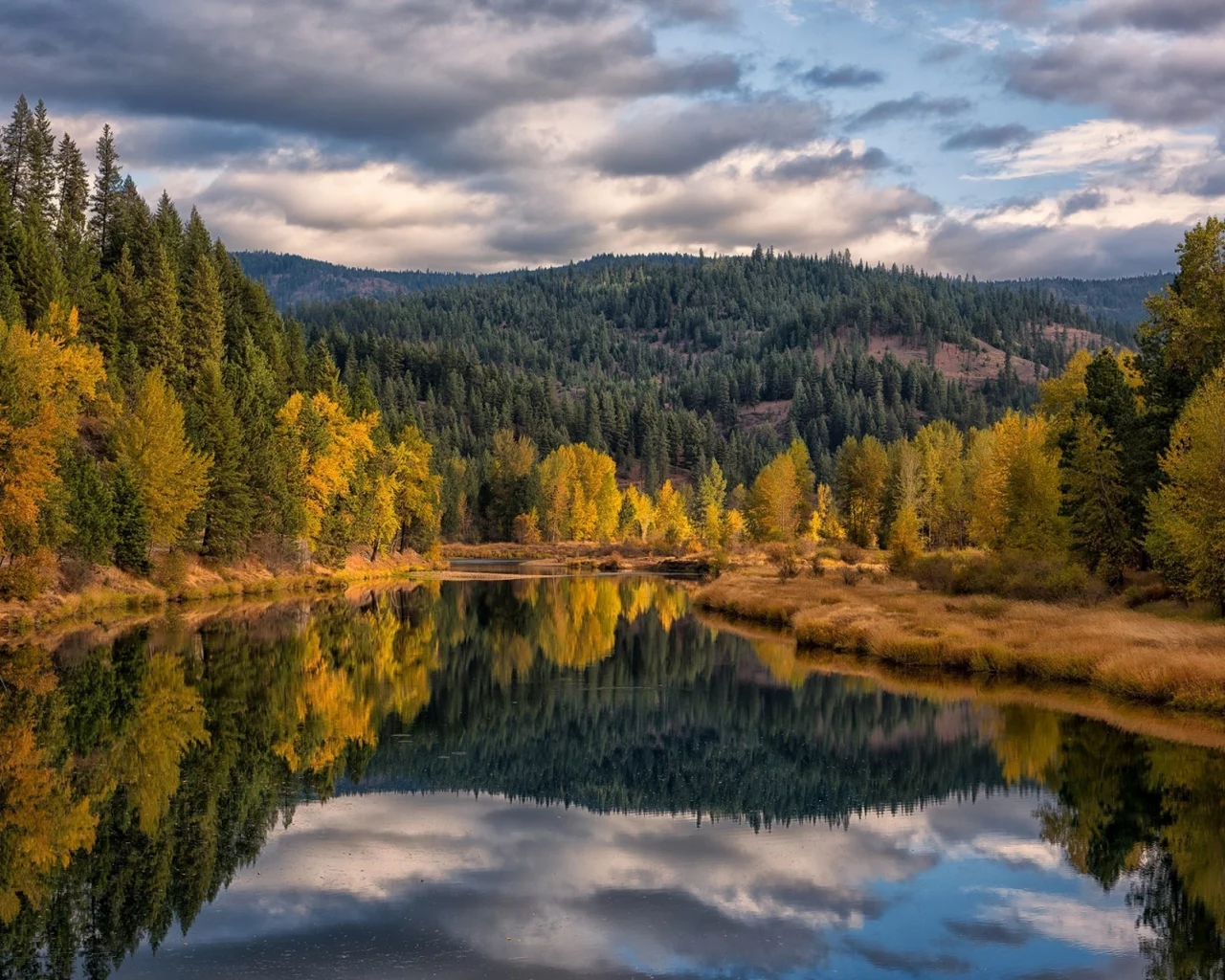 природа, красота
