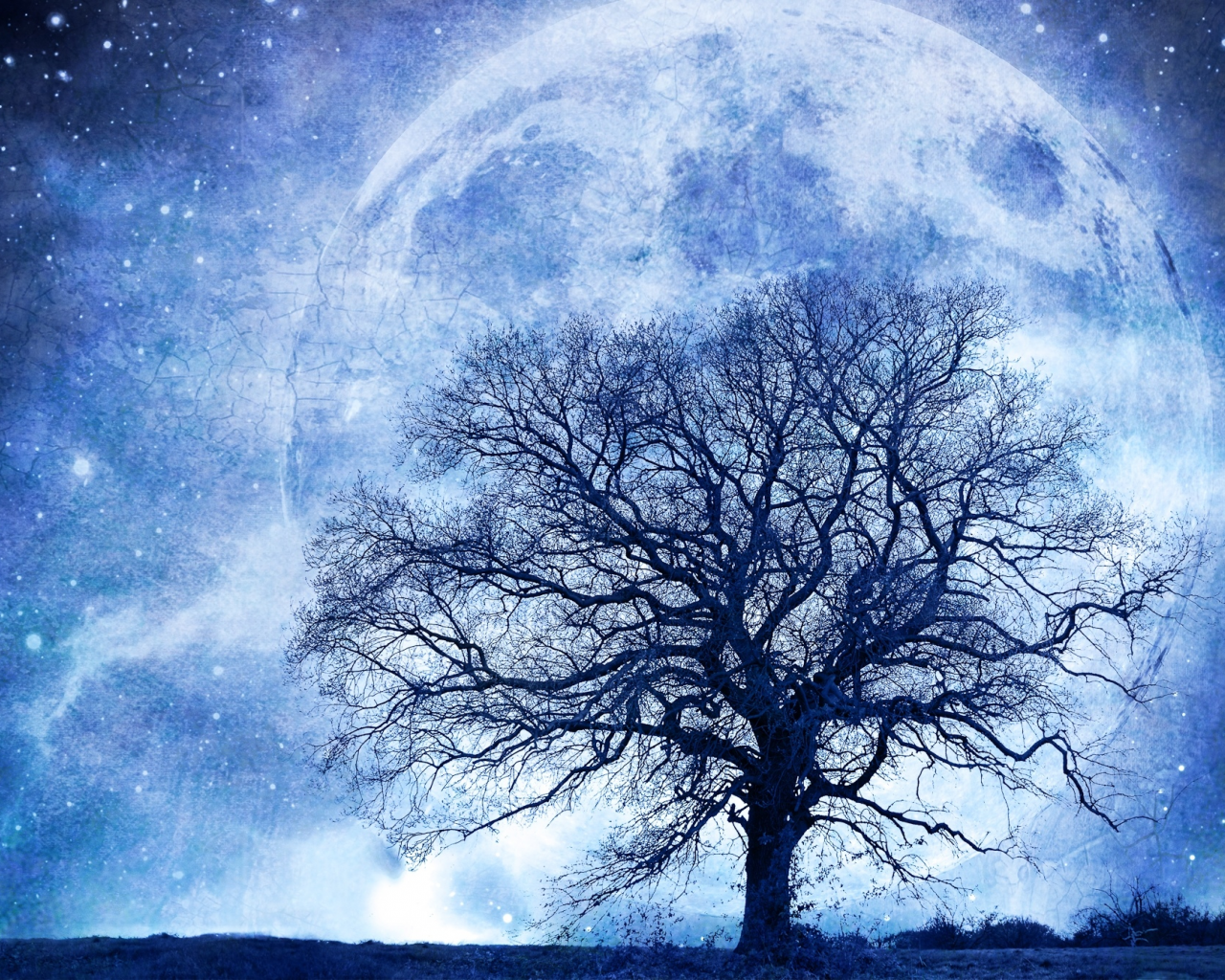 дерево, луна, ночь, космос, пейзаж, небо, звёзды, графика