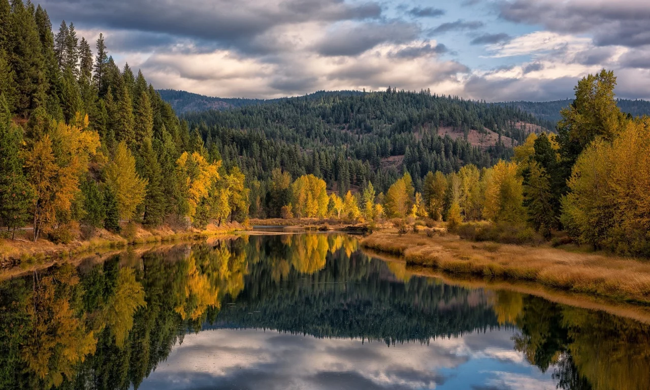 природа, красота
