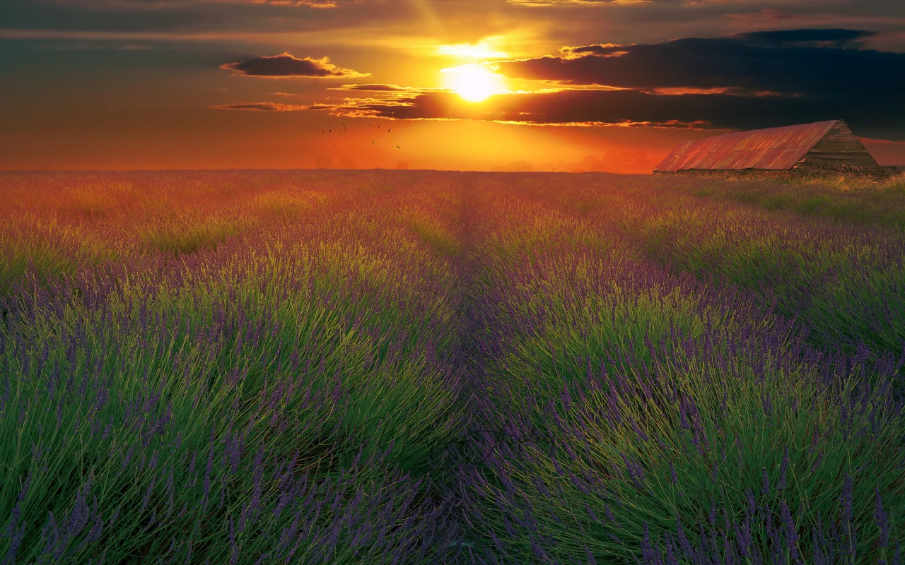 природа, красота, пейзаж