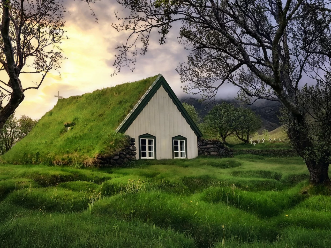 природа, celand