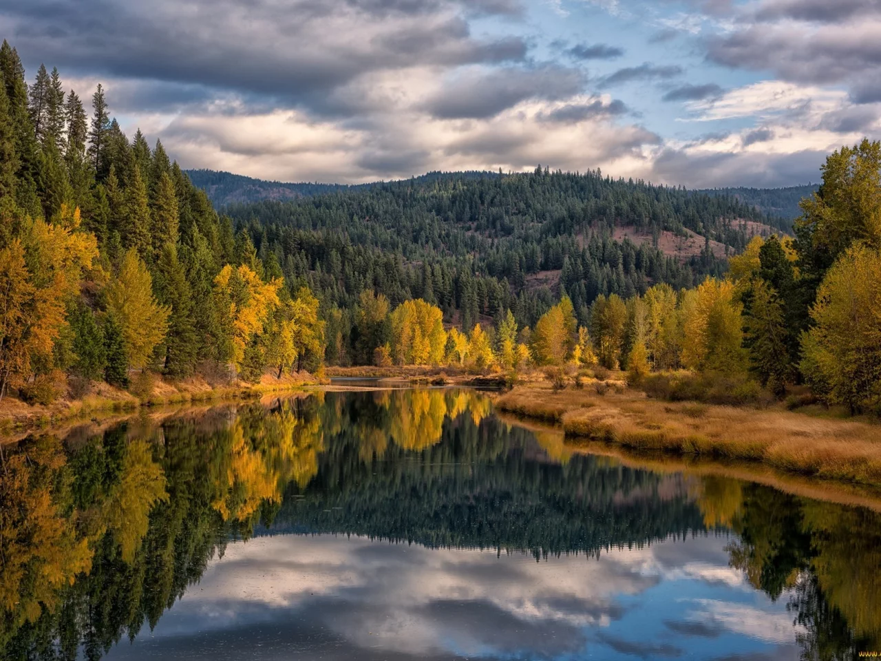 природа, красота