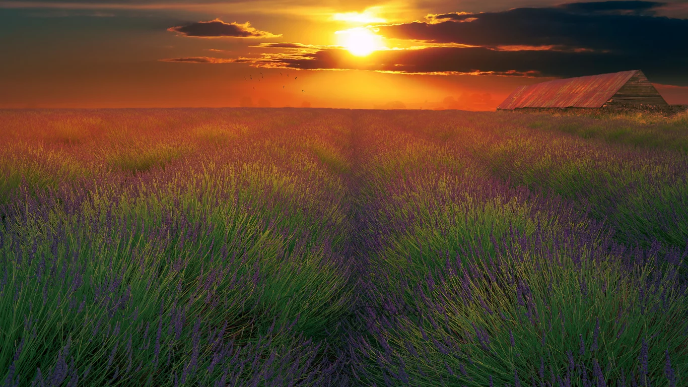 природа, красота, пейзаж