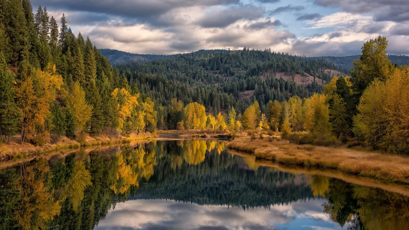природа, красота