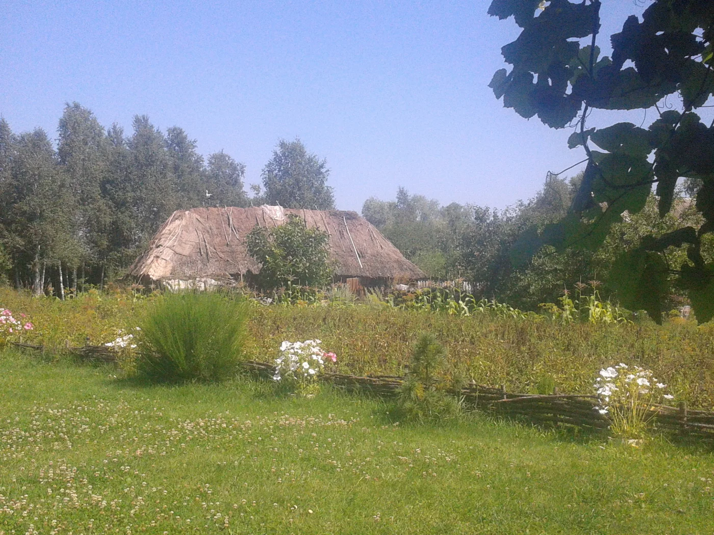деревня, сарай, трава, небо